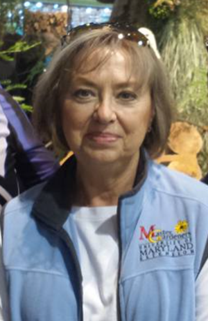 A smiling woman wearing a light blue volunteer vest with embroidered text stands outdoors at what appears to be a community event or fair.