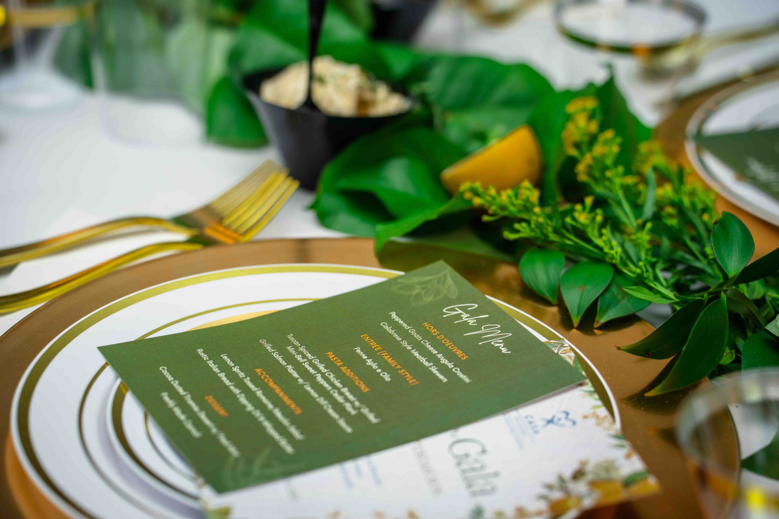 Scene from the CASA-EP Garden Gala